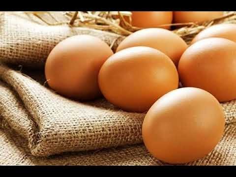 Hình ảnh minh họa trứng gà tượng trưng cho sự khởi đầu mới và tiềm năng phát triển