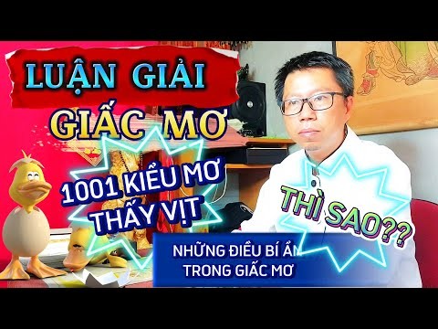 Một con vịt đang bơi dưới nước