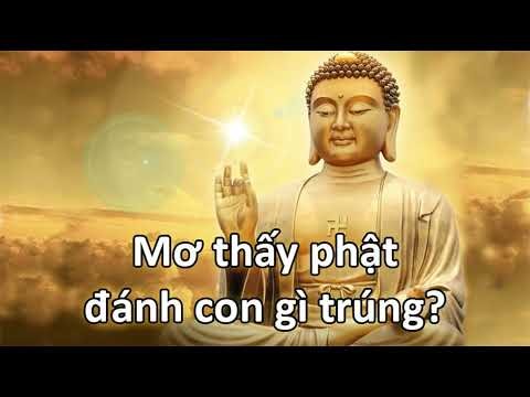 Một người đang chắp tay cầu nguyện trước tượng Phật trong một không gian thanh tịnh, thể hiện sự tôn kính và tín ngưỡng.